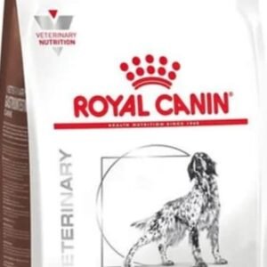Royal Canin Gastrointestinal Perro 10kg.