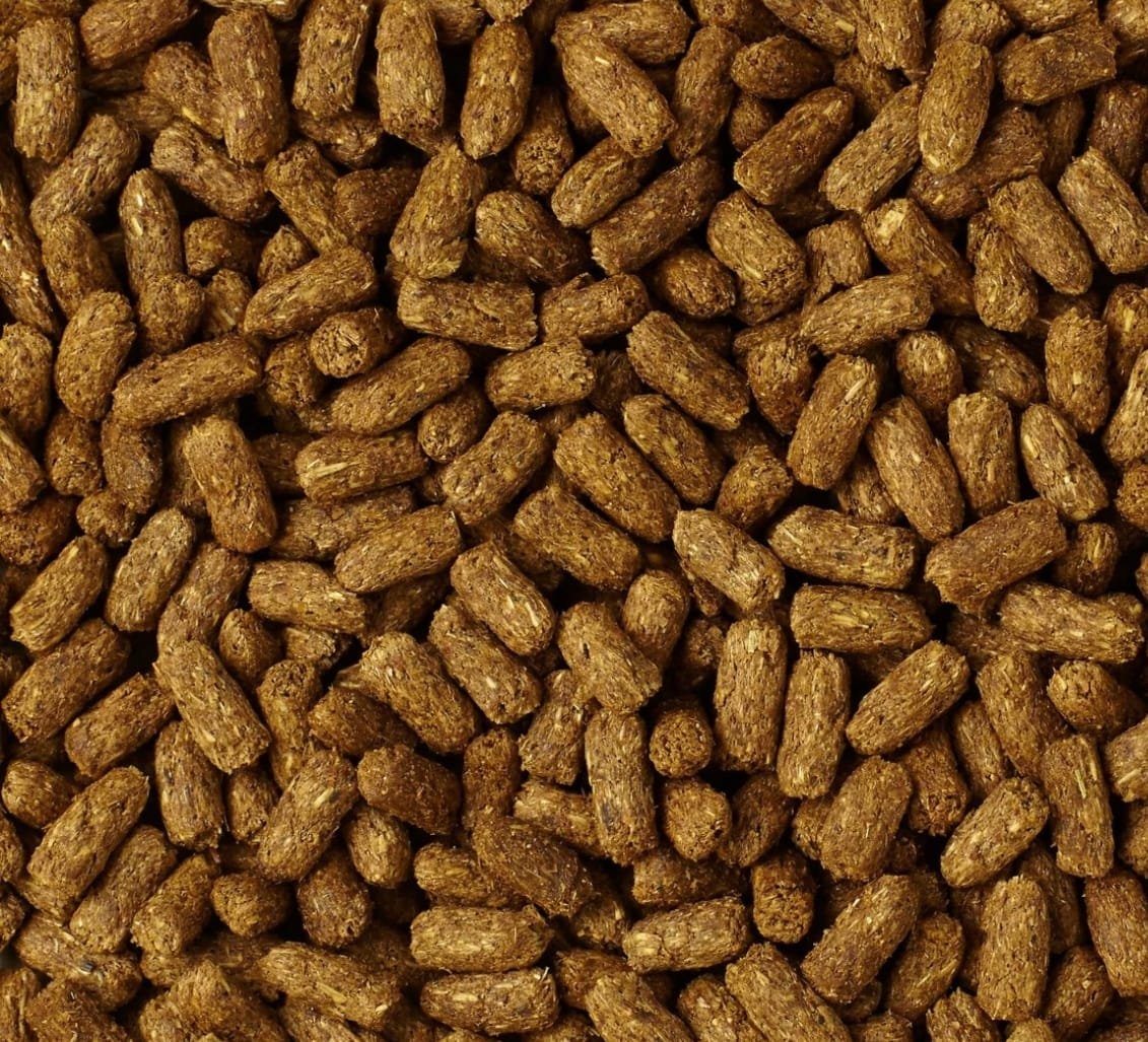 Mazuri Diet Tortuga de Tierra 340gr. - Imagen 3